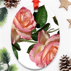 Roses Flowers Perfume Garden Ornament (oval)