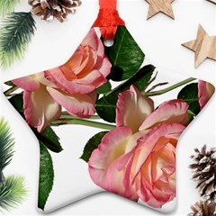 Roses Flowers Perfume Garden Ornament (star)