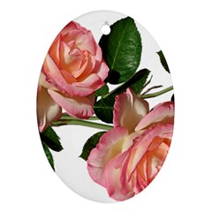 Roses Flowers Perfume Garden Oval Ornament (two Sides)