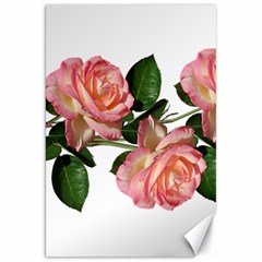 Roses Flowers Perfume Garden Canvas 20  X 30 