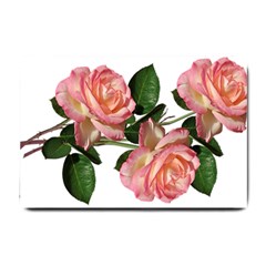 Roses Flowers Perfume Garden Small Doormat  by Pakrebo