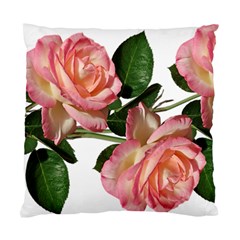 Roses Flowers Perfume Garden Standard Cushion Case (one Side) by Pakrebo