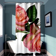 Roses Flowers Perfume Garden Shower Curtain 36  X 72  (stall)  by Pakrebo