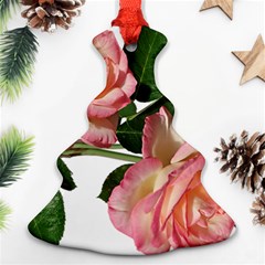 Roses Flowers Perfume Garden Ornament (christmas Tree) 