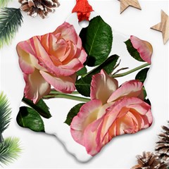 Roses Flowers Perfume Garden Snowflake Ornament (two Sides)