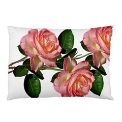 Roses Flowers Perfume Garden Pillow Case (two Sides) by Pakrebo