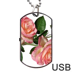 Roses Flowers Perfume Garden Dog Tag Usb Flash (two Sides) by Pakrebo