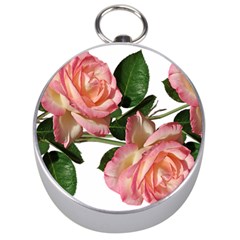 Roses Flowers Perfume Garden Silver Compasses by Pakrebo