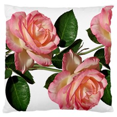 Roses Flowers Perfume Garden Large Flano Cushion Case (two Sides) by Pakrebo