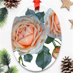 Roses Flowers Buds Ragrance Ornament (oval)