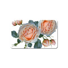 Roses Flowers Buds Ragrance Magnet (name Card) by Pakrebo