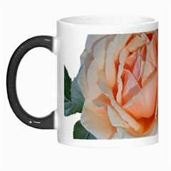 Roses Flowers Buds Ragrance Morph Mugs