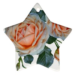 Roses Flowers Buds Ragrance Star Ornament (two Sides) by Pakrebo