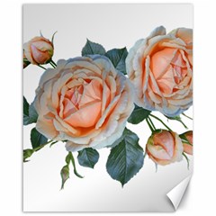 Roses Flowers Buds Ragrance Canvas 16  X 20  by Pakrebo