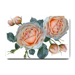 Roses Flowers Buds Ragrance Small Doormat  by Pakrebo