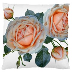 Roses Flowers Buds Ragrance Large Flano Cushion Case (one Side) by Pakrebo