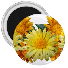 Daisies Flowers Yellow Arrangement 3  Magnets by Pakrebo