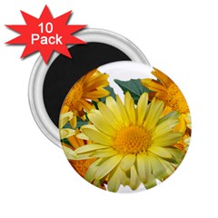 Daisies Flowers Yellow Arrangement 2 25  Magnets (10 Pack)  by Pakrebo