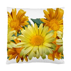 Daisies Flowers Yellow Arrangement Standard Cushion Case (two Sides) by Pakrebo