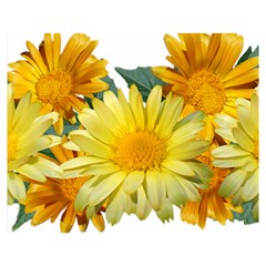 Daisies Flowers Yellow Arrangement Double Sided Flano Blanket (medium)  by Pakrebo