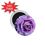 Roses Violets Flowers Arrangement 1.75  Magnets (100 pack)  Front