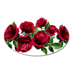 Roses Flowers Red Romantic Garden Oval Magnet by Pakrebo