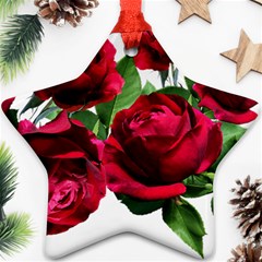 Roses Flowers Red Romantic Garden Star Ornament (two Sides)