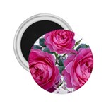 Roses Gypsophila Flowers Fragrant 2.25  Magnets Front