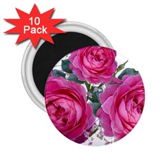 Roses Gypsophila Flowers Fragrant 2 25  Magnets (10 Pack)  by Pakrebo