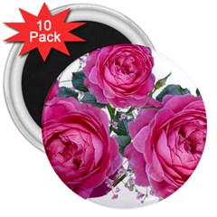 Roses Gypsophila Flowers Fragrant 3  Magnets (10 Pack)  by Pakrebo