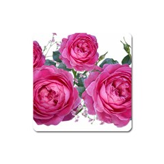 Roses Gypsophila Flowers Fragrant Square Magnet by Pakrebo