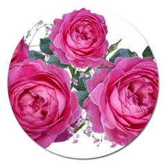 Roses Gypsophila Flowers Fragrant Magnet 5  (round) by Pakrebo