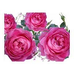 Roses Gypsophila Flowers Fragrant Double Sided Flano Blanket (mini)  by Pakrebo