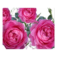 Roses Gypsophila Flowers Fragrant Double Sided Flano Blanket (large)  by Pakrebo