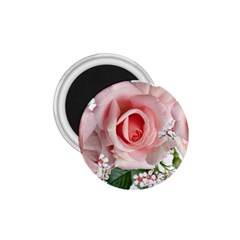 Roses Flowers Wax Flowers 1 75  Magnets by Pakrebo