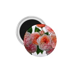 Roses Flowers Arrangement Perfume 1 75  Magnets by Pakrebo