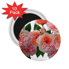 Roses Flowers Arrangement Perfume 2 25  Magnets (10 Pack)  by Pakrebo