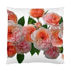 Roses Flowers Arrangement Perfume Standard Cushion Case (one Side) by Pakrebo