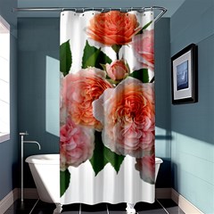 Roses Flowers Arrangement Perfume Shower Curtain 36  X 72  (stall)  by Pakrebo