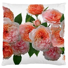 Roses Flowers Arrangement Perfume Standard Flano Cushion Case (two Sides) by Pakrebo