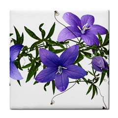 Flowers Blue Campanula Arrangement Tile Coaster by Pakrebo