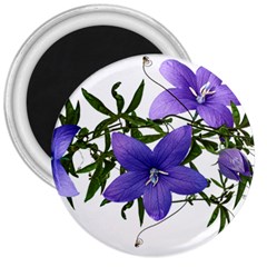 Flowers Blue Campanula Arrangement 3  Magnets by Pakrebo