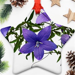 Flowers Blue Campanula Arrangement Ornament (star)