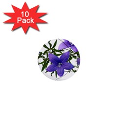 Flowers Blue Campanula Arrangement 1  Mini Buttons (10 Pack)  by Pakrebo