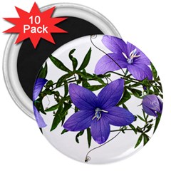 Flowers Blue Campanula Arrangement 3  Magnets (10 Pack)  by Pakrebo