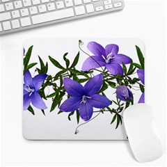 Flowers Blue Campanula Arrangement Large Mousepads by Pakrebo