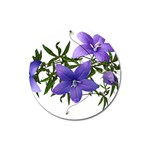 Flowers Blue Campanula Arrangement Magnet 3  (Round) Front