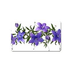 Flowers Blue Campanula Arrangement Magnet (name Card) by Pakrebo