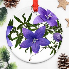 Flowers Blue Campanula Arrangement Round Ornament (two Sides)