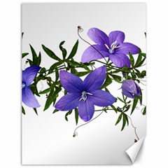 Flowers Blue Campanula Arrangement Canvas 12  X 16  by Pakrebo